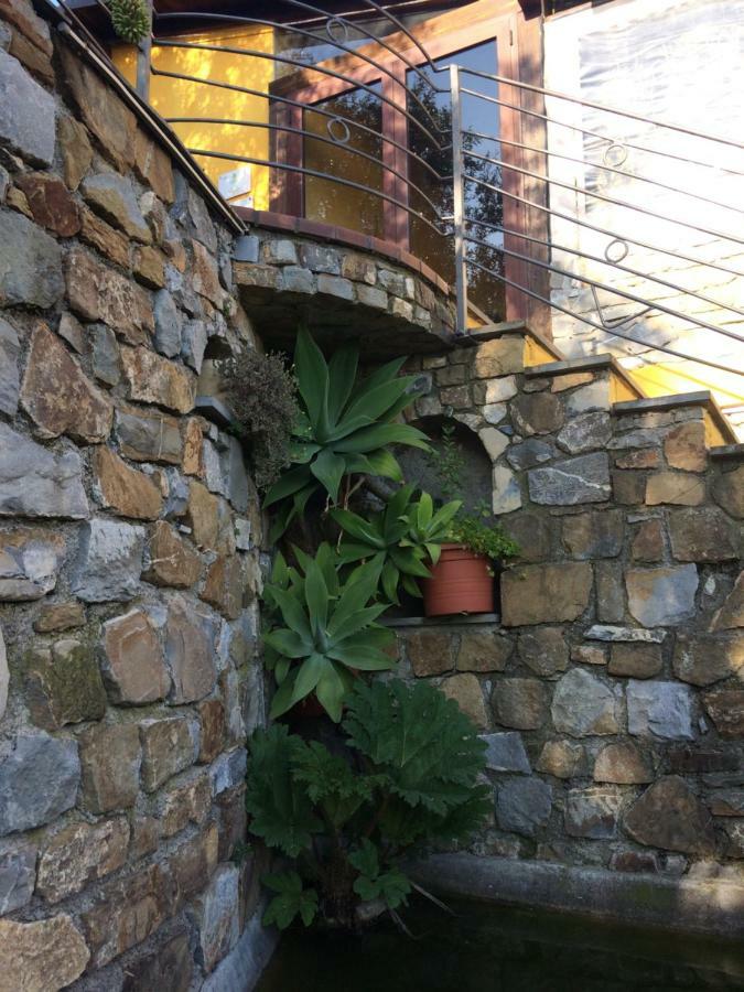 Creuza De Ma Hotel Santo Stefano al Mare Exterior foto
